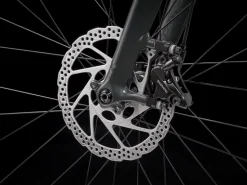 Trek Bikes Allant+ 8S Outlet