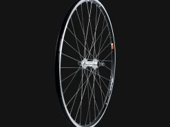 Trek Bikes Bontrager AT-750 Bolt-On 700c Track Wheel Black Best