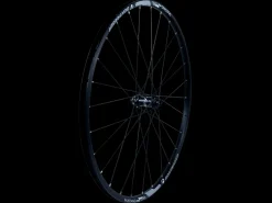 Trek Bikes Bontrager Mustang Pro 29" TLR Center Lock Disc MTB Wheel Black Flash Sale