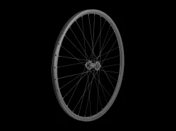 Trek Bikes Bontrager Paradigm TLR Disc 32H 700c Road Wheel Black Store