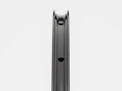 Trek Bikes Bontrager Paradigm TLR Road Wheel Black/Anthracite Best Sale