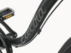 Trek Bikes Cruiser 7D Step-Over Cheap