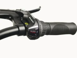 Trek Bikes Cruiser 7D Step-Over Cheap