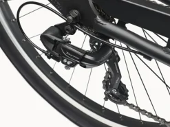 Trek Bikes Cruiser 7D Step-Over Cheap
