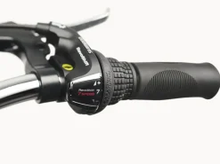 Trek Bikes Cruiser 7D Step-Thru Best