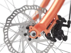 Trek Bikes Cruiser Go! Step-Thru Outlet