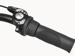 Trek Bikes Cruiser 3i Step-Over Matte Black Best Sale
