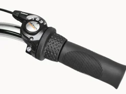 Trek Bikes Cruiser 3i Step-Thru Best Sale