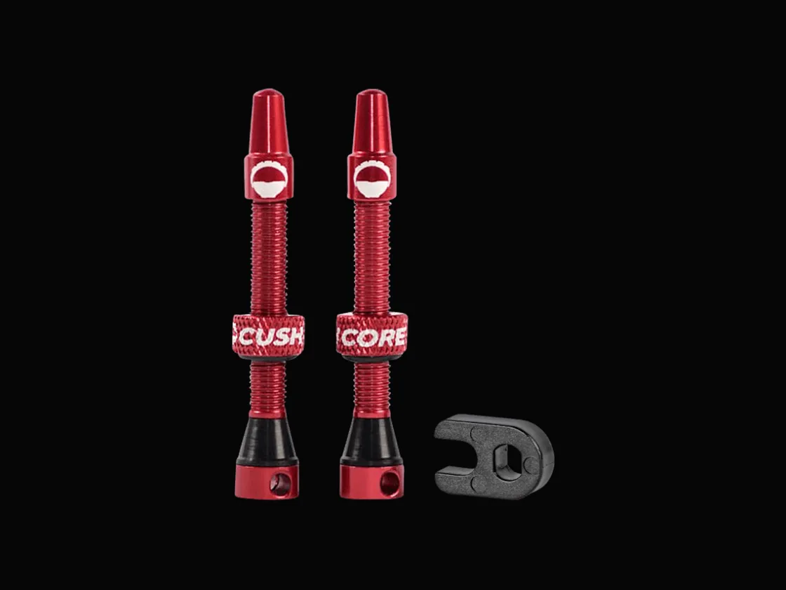 Trek Bikes CushCore Alloy Tubeless Presta Valves Online