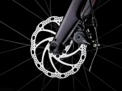 Trek Bikes Domane AL 2 Gen 4 Shop