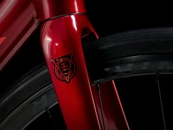 Trek Bikes Domane AL 2 Gen 4 Shop