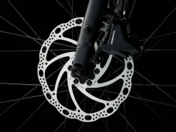 Trek Bikes Dual Sport 2 Gen 5 Galactic Grey Clearance