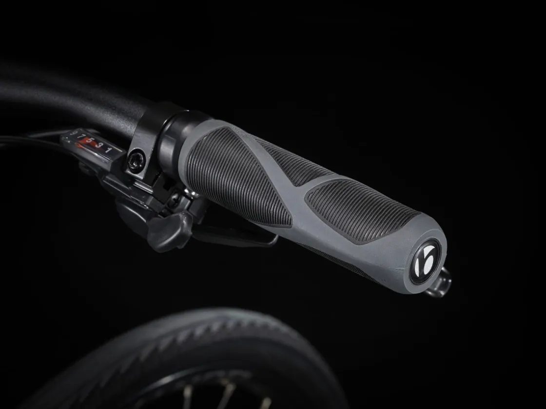 Trek Bikes Dual Sport 2 Gen 5 Galactic Grey Clearance