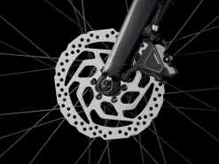 Trek Bikes Dual Sport+ 2 LT New
