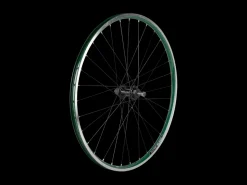 Trek Bikes Electra 2021 Townie 7D 26" Wheels Best Sale