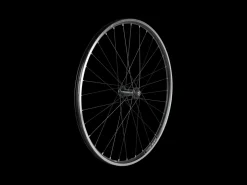 Trek Bikes Electra 2021 Townie 7D 26" Wheels Best Sale