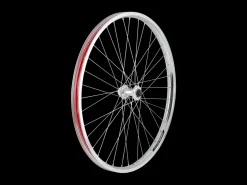 Trek Bikes Electra 2021 Townie Go! 5i 26" Wheels New
