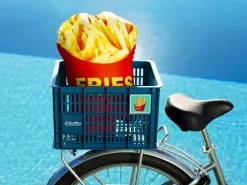 Trek Bikes Electra Basil Bike Crate Dark Teal Store