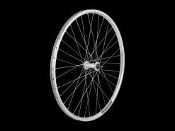 Trek Bikes Electra Townie 1 Rental 26" Wheel Silver Fashion