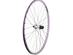 Trek Bikes Electra Townie Commute 8D Wheel Shop