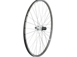 Trek Bikes Electra Townie Commute 8D Wheel Shop
