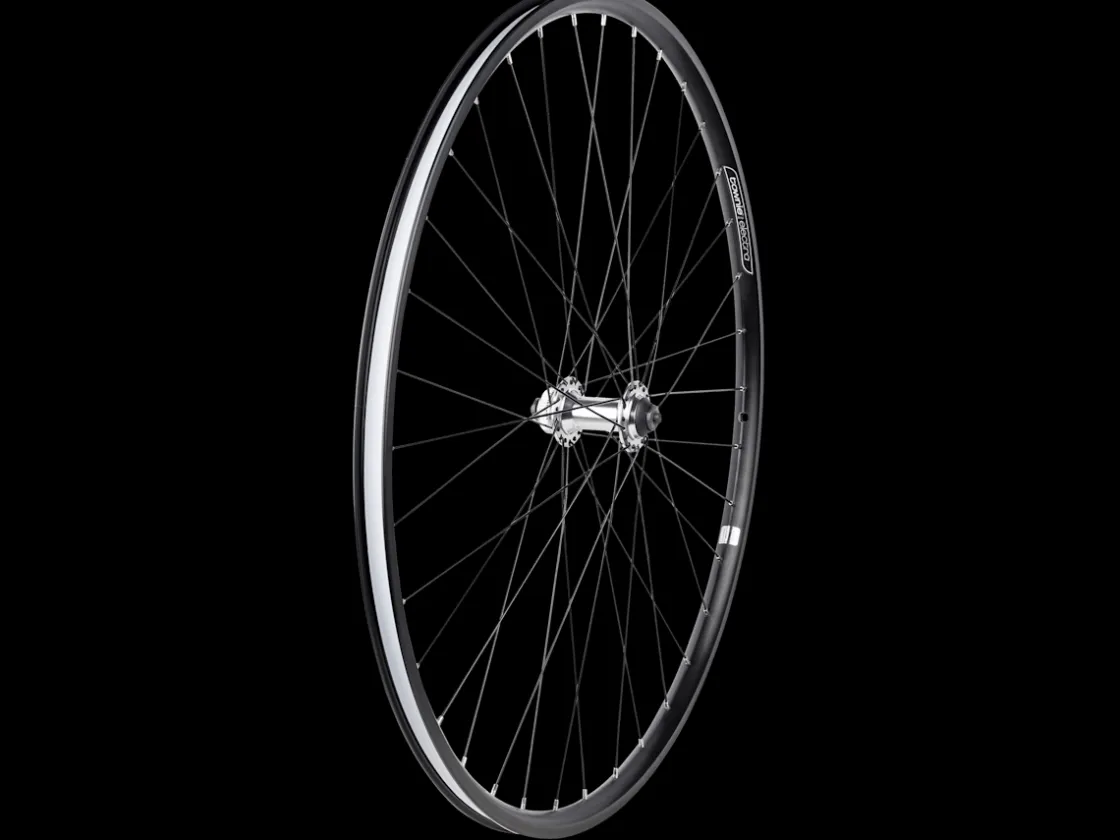 Trek Bikes Electra Townie Commute Go! 8i Wheels Discount