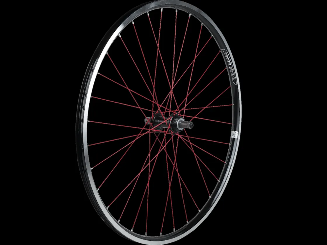 Trek Bikes Electra Townie 21D 26" Wheel Store
