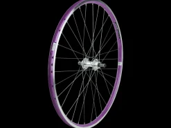 Trek Bikes Electra Townie 21D 26" Wheel Store