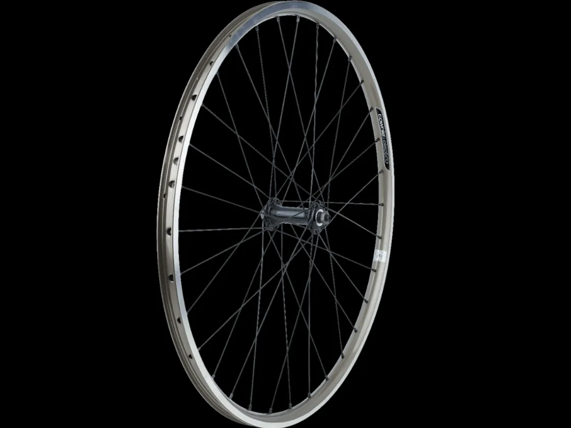 Trek Bikes Electra Townie 21D 26" Wheel Store