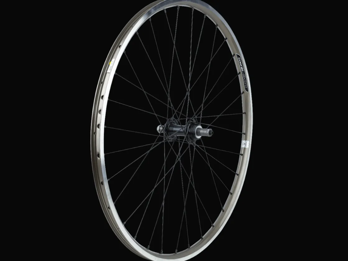 Trek Bikes Electra Townie 21D 26" Wheel Store