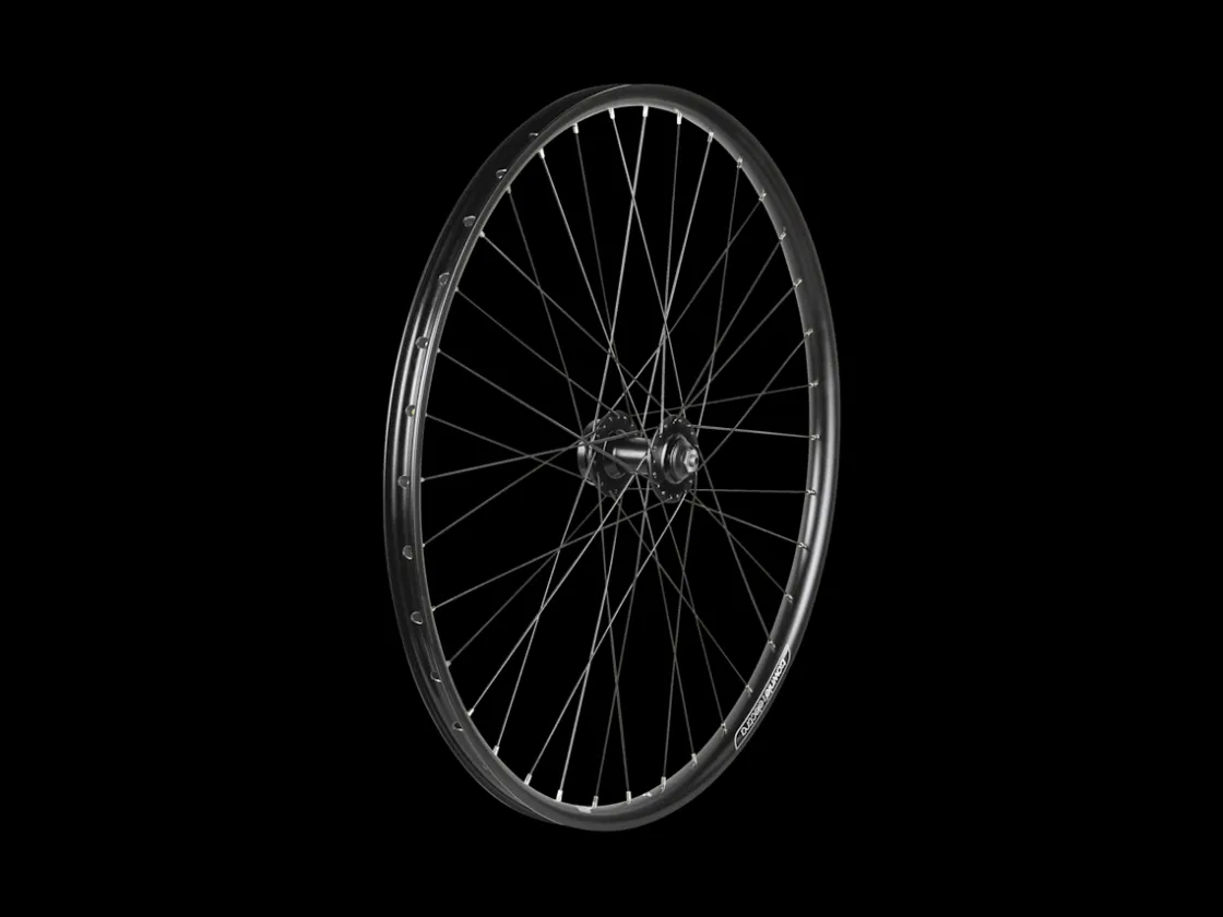 Trek Bikes Electra Townie Go! 7D 26" Wheel Outlet