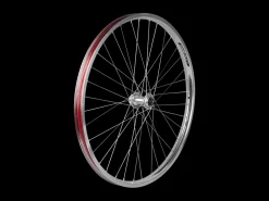 Trek Bikes Electra Townie Go! 8i Centerlock Disc 26" Wheel Best Sale