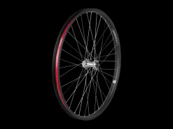 Trek Bikes Electra Townie Go! 8i Centerlock Disc 26" Wheel Best Sale