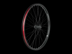 Trek Bikes Electra Townie Go! 8i Centerlock Disc 26" Wheel Best Sale