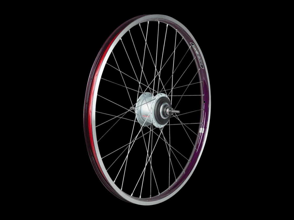 Trek Bikes Electra Townie Go! 8i Centerlock Disc 26" Wheel Best Sale