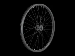 Trek Bikes Electra Townie Go! 35mm Wide Rim 7D 26" Wheel Best