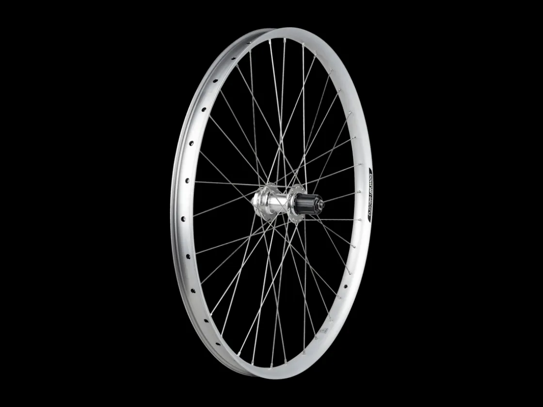 Trek Bikes Electra Townie Path 6-Bolt Disc 27.5" Wheel Hot
