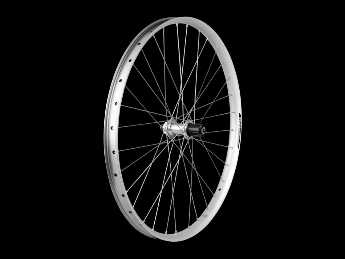 Trek Bikes Electra Townie Path 9D EQ Centerlock Disc 27.5" Wheel Outlet