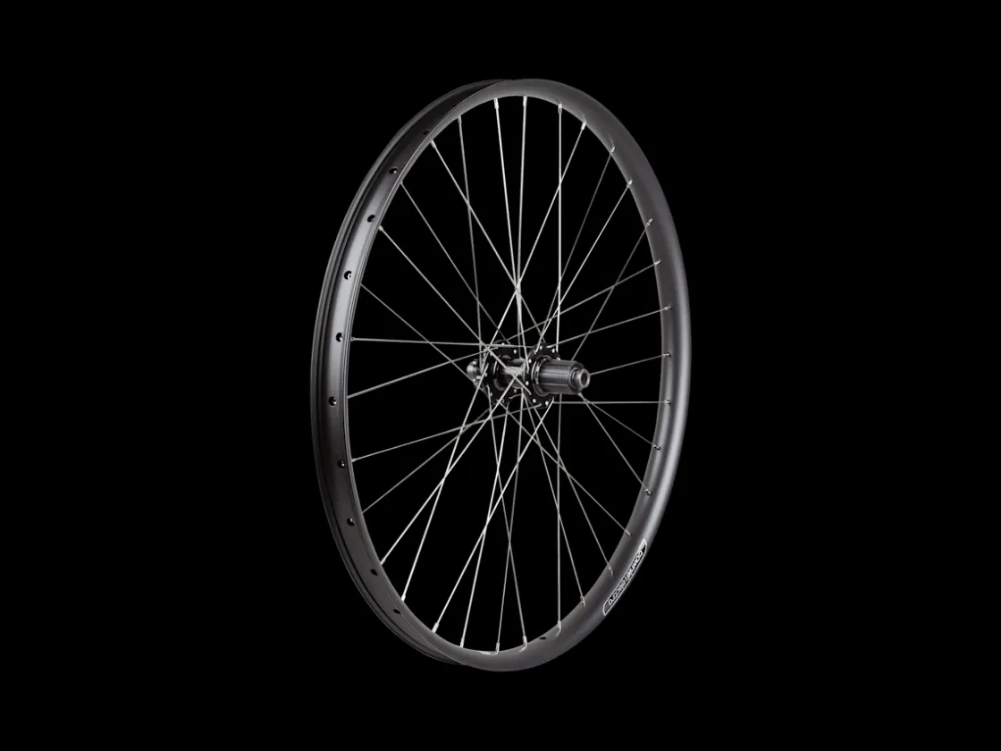 Trek Bikes Electra Vale Go! EQ Wheel Best Sale