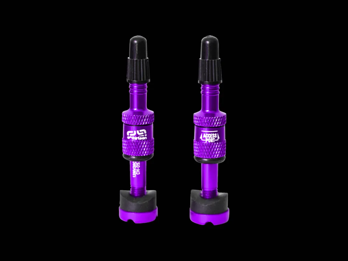 Trek Bikes e*thirteen Quick Fill Plasma Valves Store
