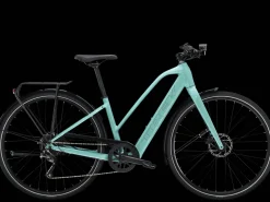 Trek Bikes FX+ 2 Stagger Flash Sale