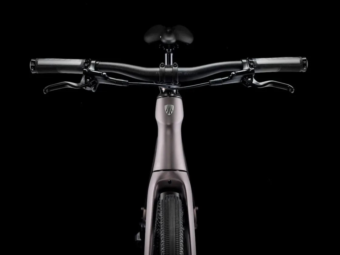 Trek Bikes FX Sport 6 Matte Bronze Age/Deep Smoke Shop
