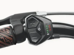 Trek Bikes Kakau Cruiser Go! Matte Ember Discount