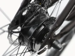 Trek Bikes Kakau Cruiser Go! Matte Ember Discount