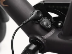 Trek Bikes Kakau Cruiser Go! Matte Ember Discount