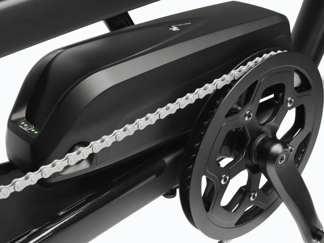 Trek Bikes Ponto Go! S Online