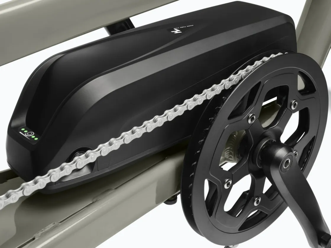 Trek Bikes Ponto Go! S Online