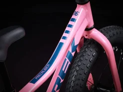 Trek Bikes Precaliber 16 Sale