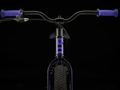 Trek Bikes Precaliber 20 Best