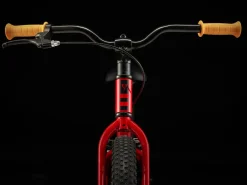 Trek Bikes Precaliber 20 Best